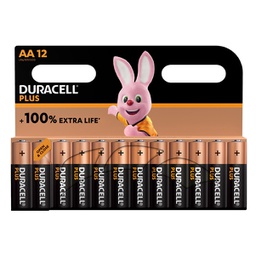 [88048] Blister 12 pile Duracell Plus 100 - AA Stilo