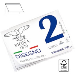 [67596] BLOCCO DISEGNO PIGNA2 33x48cm collato 12fg 110gr ruvido