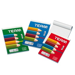 [94349] BLOCCO NOTE 150X210MM 5MM 50GR 50FG TEAM BLASETTI