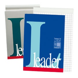 [47441] BLOCCO NOTE 21X297MM 10mm 80GR 90FG LEADER BLASETTI