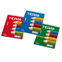[94350] BLOCCO NOTE 21x29,7CM A4 5MM 50GR 50FG TEAM BLASETTI