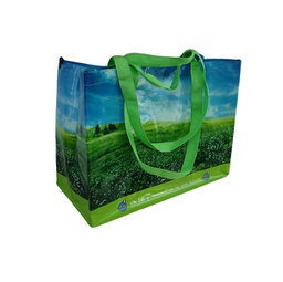 [95304] Borsa ripiegabile per la spesa in PP con ganci 38x43x20cm