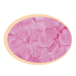 [85943] Busta da 144 petali rosa Big Party