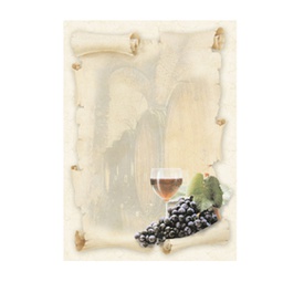 [76228] CARTA CON STAMPA ''CANTINA''' A4 90GR 20FG DECADRY