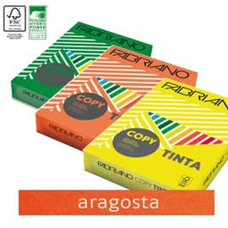 [62874] Carta Fabriano Colore A3 80GR 250FG COL.FORTI ARAGOSTA