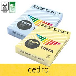 [68433] FabrianoColore A4 160gr 250fg col.tenui cedro