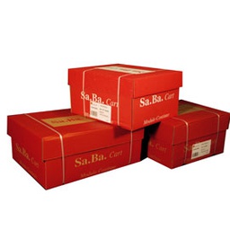 [64661] CARTA IN MODULO CONTINUO 37,5X11''X2 53GR (1000FG LF Piste Fisse